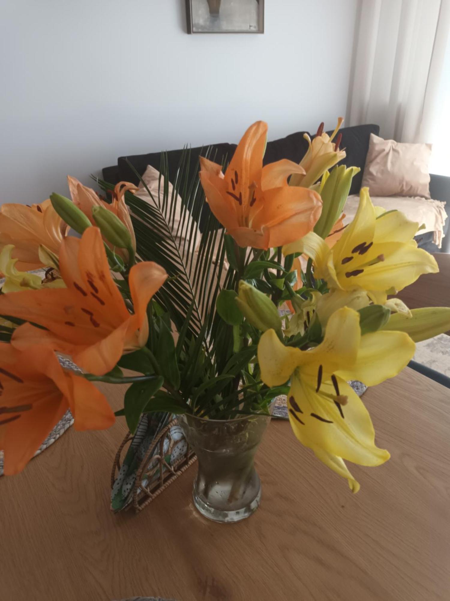 Apartament Lilla 2 Jelenia Góra Exteriör bild